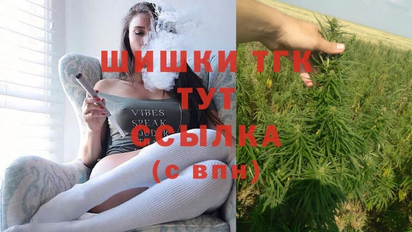 бошки Алексин