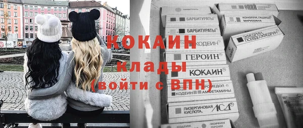 бошки Алексин