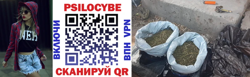 сколько стоит  Курган  Псилоцибиновые грибы мицелий 