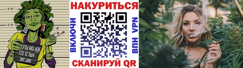 Бошки Шишки SATIVA & INDICA  как найти закладки  Курган 